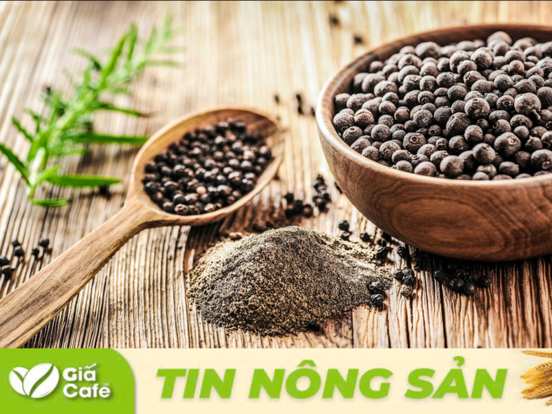 Tr&ecirc;n thị trường thế giới, gi&aacute; ti&ecirc;u tiếp tục nối d&agrave;i chuỗi ng&agrave;y đi ngang từ cuối tuần trước.